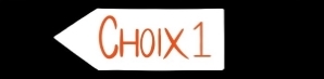 Choix 2